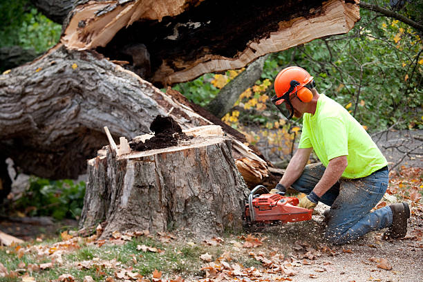 Mulching Services in Chelsea, MI